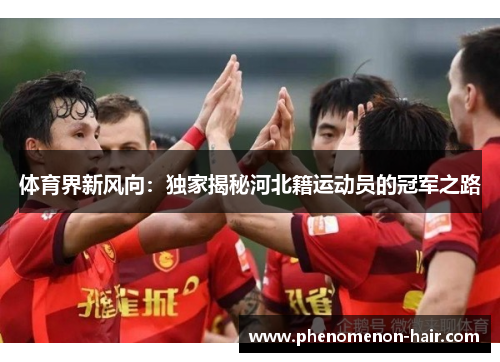 体育界新风向：独家揭秘河北籍运动员的冠军之路